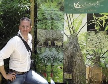 L’idea imprenditoriale ed ecologica di Bambufacile