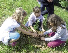boschi in città