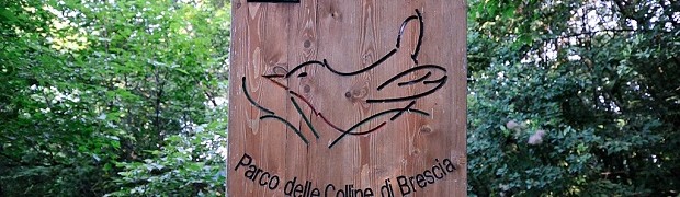 ViViParco 20 maggio