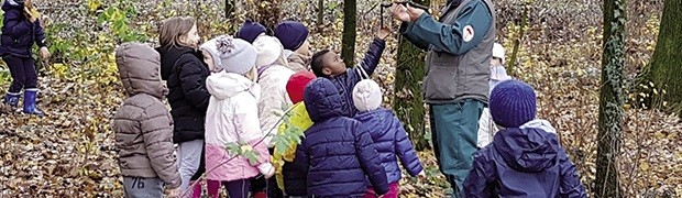 Per fare un albero ci vuole... una rete