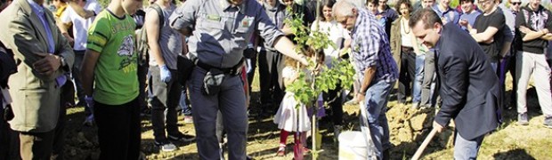 Creativo è chi pianta un albero. Piantate 250 latifoglie alla Trucca