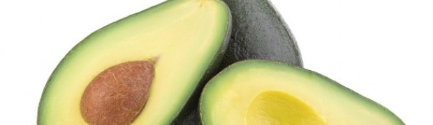 avocado 