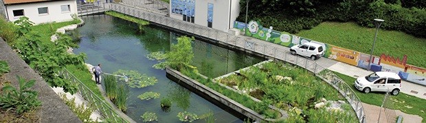 Biolago depurato dalle alghe grazie a un “biofiltro”