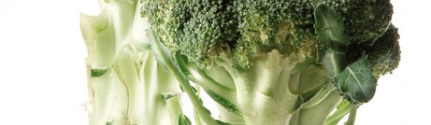 broccolo