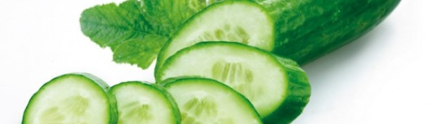cetriolo