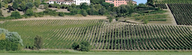 Parco delle colline: la bellezza della natura