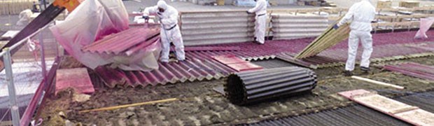 S.E. Servizi Ecologici Srl: Salvaguardia ambientale e lotta all’amianto