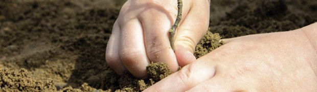 Un Bosco per la città… di Bergamo