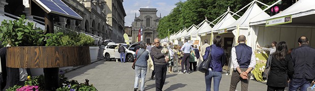 Festival dell'Ambiente