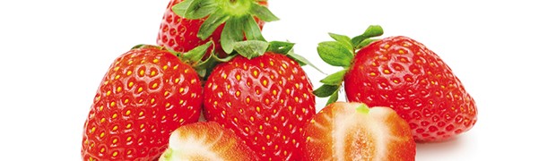 Fragola