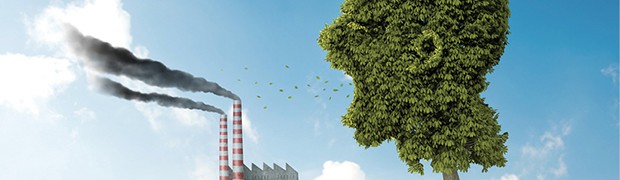 Rendicontazione trasparente