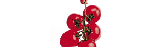 Pomodoro