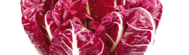 Radicchio