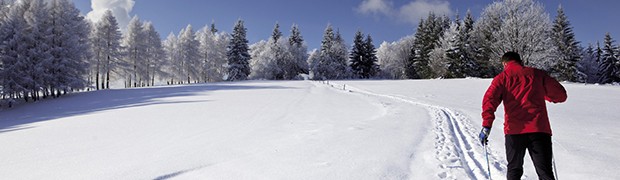 Sci di fondo