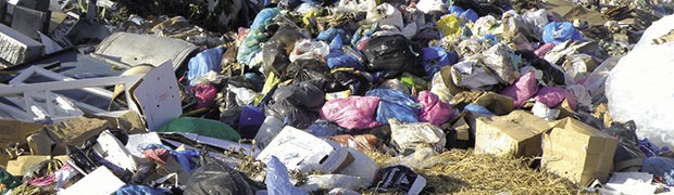 Rapporto Ecomafia 2015