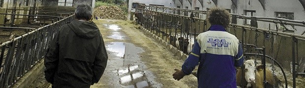 Mondo latte e non solo