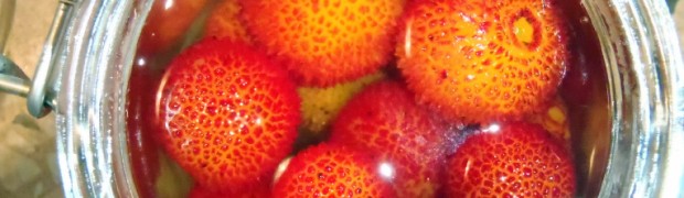 marmellata corbezzoli