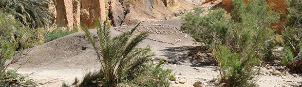 Nel cuore del Sahara alla ricerca del deserto autentico