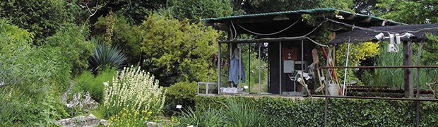 L'Orto Botanico riapre le porte alla primavera