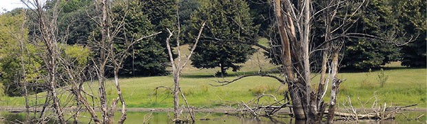 Tra Bologna e il Lambro: Esempi di rigenerazione dal basso
