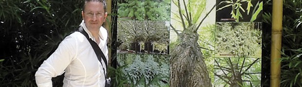L’idea imprenditoriale ed ecologica di Bambufacile