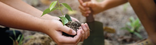 Distretti dell'Economia Sociale e Solidale
