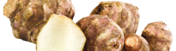 Il Topinambur