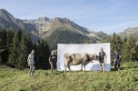 “Segni e Sogni d’Alpe” 