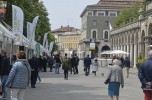 Festival dell'Ambiente