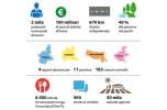 Sulle ali del Ven-To infografica
