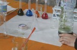 Festival dell'Ambiente