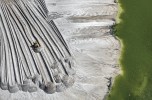 Anthropocene: la drammatica poesia della distruzione del pianeta