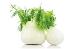 Finocchio 
