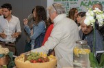Wroom Academy. Coworking e formazione al tempo della sharing economy