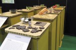 bioenergy