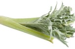 Cardo