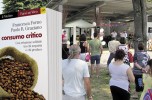 Il Consumo critico