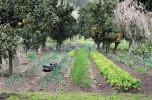 L’11 settembre 2015 in occasione de I Maestri del Paesaggio, Daniel Tarozzi fa tappa a Bergamo e incontra la rete di Cittadinanza Sostenibile