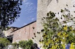 Fiorinsieme 2015