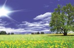   S.E. Servizi Ecologici Srl: salvaguardia ambientale
