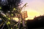 Voglia di bicicletta rosa