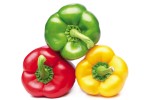 peperoni 