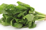 Spinaci