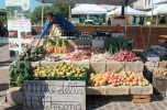 Cibovicino