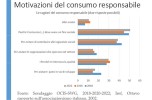 Motivazione del consumo responsabile