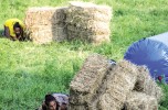 Campionati Mondiali di Nascondino