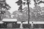 Brescia Photo Festival