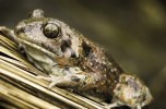 Life Tib: l’autostrada della biodiversità