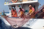 «Noi piccoli pescatori artigianali stiamo morendo» «Noi piccoli pescatori artigianali stiamo morendo»