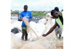 Nuova vita per la plastica in mare che diventa montatura di occhiali